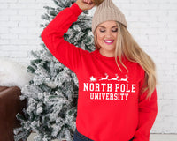 North Pole University Santa Sleigh Screen Print LOW HEAT